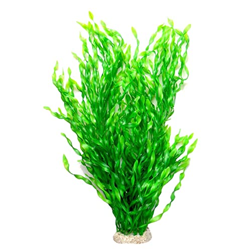 Large Aquarium Plants The 15 Best Products in Comparison Aquaristics