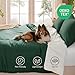 Andency Dark Emerald Green Queen Size Comforter Set, 3 Pieces Forest Hunter Green Boho Solid Bedding Sets, Soft Cozy Lightweight Down Alternative All Season Bed Set