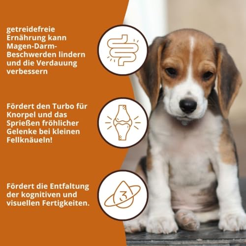 Wildfang® Hundefutter - Trocken - Getreidefreies Hundefutter - Premium Trockenfutter… (2 kg, Huhn mit Truthahn - Welpen)