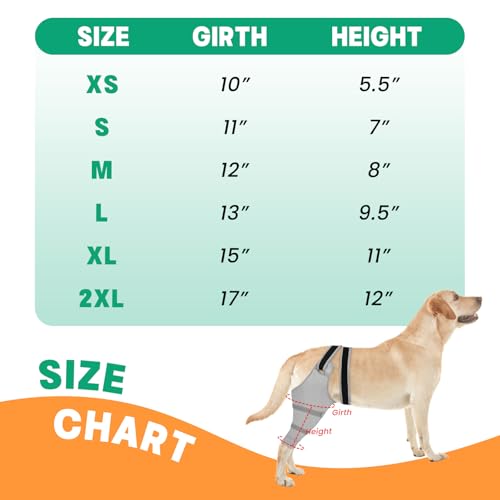 Image of Dog Rear Leg Sleeve to Stop Licking, Hind Leg Protector After TPLO Recovery, ACL Surgery, Wounds or Skin Issues, Soft Breathable Comfortable Cover for Large Medium Small Dogs, S,Right, Light Grey