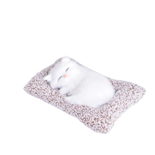 Y菬ȖĂLANZT[ ԗp L ʂݔL u, Y200g, CeA i (, TCY)