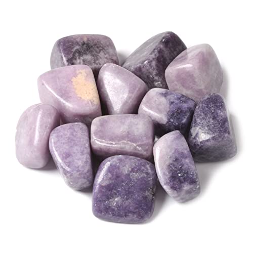 Image of 1 /2LB Large Lepidolite Lithium Mica Tumbled Stone Specimen Collection Pocket Worry Healing Crystal