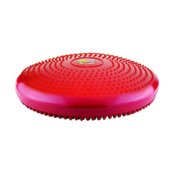 GoFit Core Stability Disk for Balance, Core Strength and Ab Workouts, Yoga, Pilates