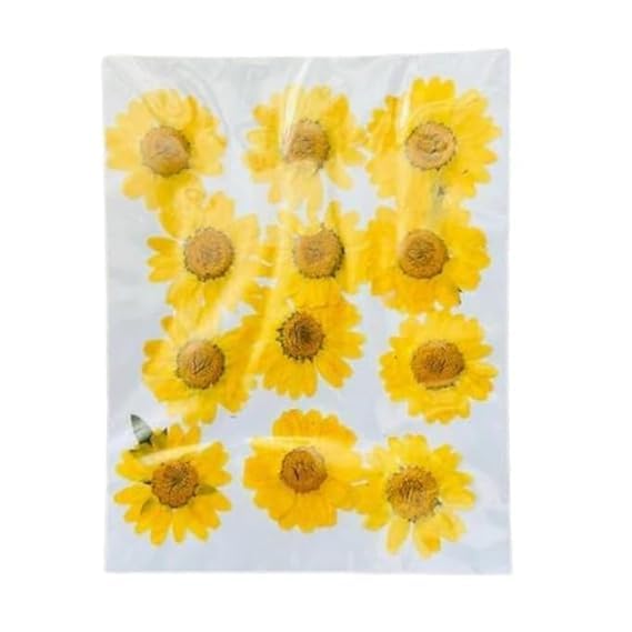 Pressed Dried Yellow Flowers for Epoxy Resin, Nail Craft DIY, 12 cm, 12 Pcs-image-27