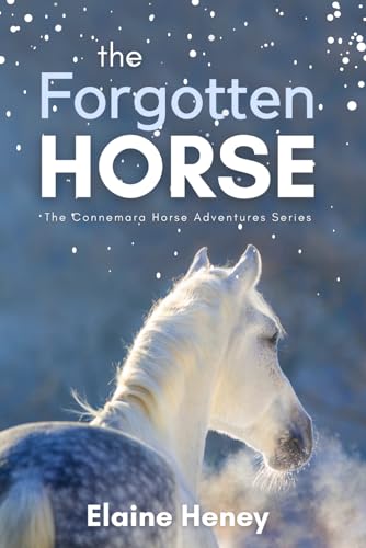 The Forgotten Horse - Book 1 in the Connemara Horse Adventure Series for Kids. The perfect gift for...