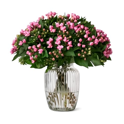 Image of Incrizma Vintage Style Ribbed Glass Bubble Flower Round Jar Vase ~ Perfect for Wedding & Home (20 cm)( Clear)