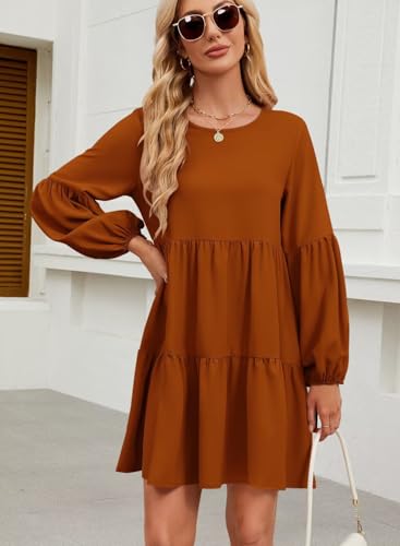 Image of QACOHU Falll Dresses for Women 2026 Crew Neck Long Lantern Sleeve Casual Loose Flowy Swing Shift Dress