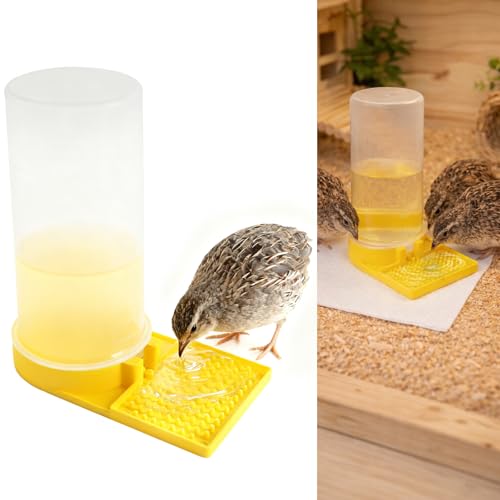 Ultra Leak-Proof Quail Chick Water Feeder Premium Large Capacity Non-Toxic & Durable Ideal Button Quails Waterer No-Spill Quail Coop & Poultry Supplies for Easy Hydration