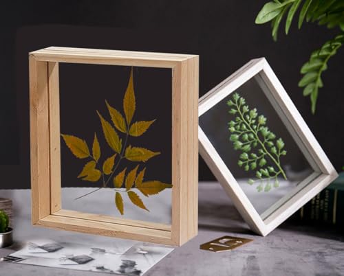 Image of Desi Rang Wooden Rectangular Frame For Wall Decor Table Top Hanging Any Green Or Dry Plant Leaf Picture Photo DIY Gift Home Decoration (Wood,Sqr,12X12Inch,With Dry Leaf)