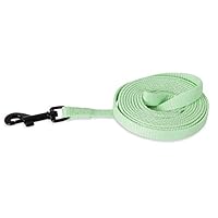 Algopix Similar Product 16 - Petmate GlowIn Dark Leash 38 x 6