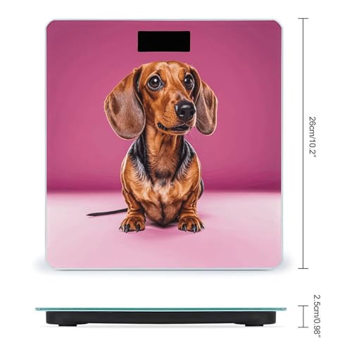 Báscula digital para baño Dachshund 400 lb capacidad miniatura 2