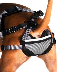 Dog Chastity - Chastity for Dogs - Pet Anti-Breeding System (PABS) & Storage Travel Bag - Dog Period Pads Option Available (Dog Chastity & 8 Sani-T Pads)(Please See Our Videos)