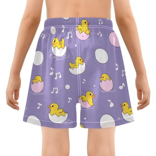 Bolaz Toddler Boys Swimwear Swim Trunks with Compression Liner 4T Duck Egg Purple3
