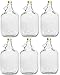 lilawelt24 6 x 5L GLASBALLON Weinballon GÄRBALLON GLASFLASCHE Flasche Gallone Leere Glasflasche zum Befüllen