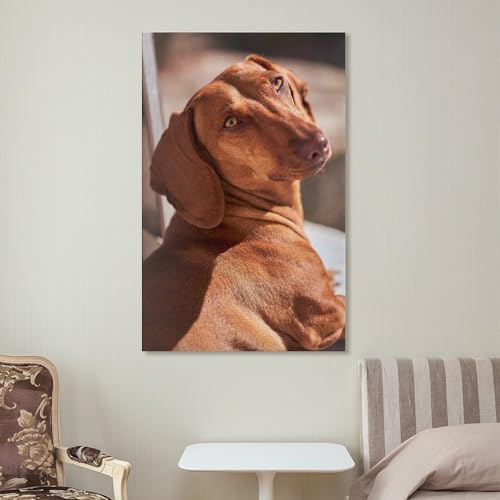 Impression sur toile teckel (22) tableau mural de 40 x 60 cm - 7