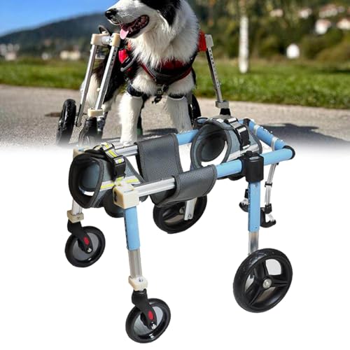 Foldable 4-Wheel Full Support Dog Wheelchair, Tool-Free Adjustable Pet Mobility Aid for Quadriplegic, Disabled Dogs, Heavy-Duty Rehabilitation Cart for Senior, Injured Pets(L)