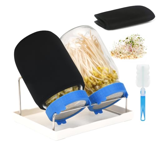 Toowood Sprouting Jar Set 2-Pack 1000ml Glass Jars - Ventilated Lid Design, Effortlessly Grow Organic Sprouts/Wheatgrass, Kitchen Gardening Essential (2, Blue)