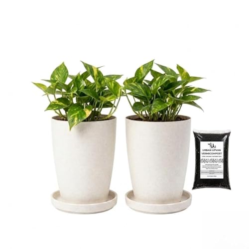 Urban Upvan 8 Inch Tower Pot with Tray (White) with Vermicompost | Large Round Flower Pot | Durable Lightweight Plastic Planter for Indoor Outdoor Plants, Balcony & Garden, (Pack of 2)