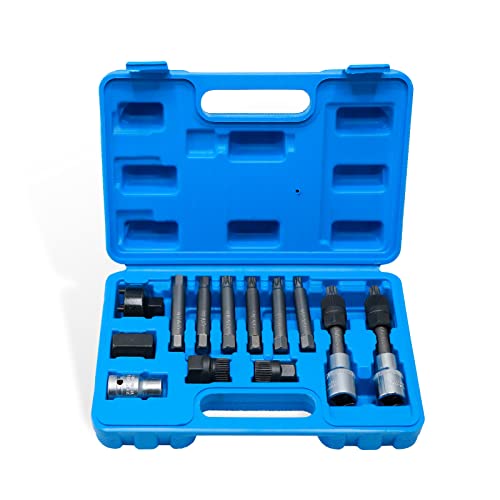 CCLIFE 13pcs Outils Alternateur Jeu de Douilles à Embouts Alternateur 12.5mm 1/2 'lecteur