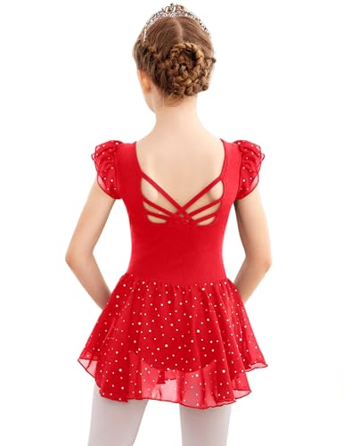 Arshiner Girls Shiny Ruffle Sleeve Ballet Leotard with Skirt Criss-Cross Back Dance Dresses2