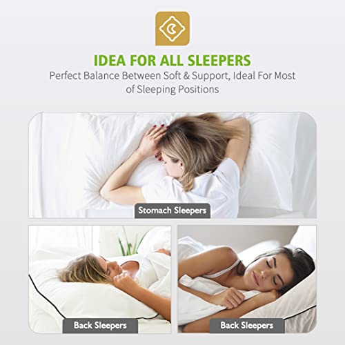 Topgreen Organic Goose Feather Down Pillows For Sleeping | Set Of 2 Queen Size Feather Pillow Inserts | 100% Cotton Shell, Soft Medium Bed Pillow Core For Stomach, Back And Side Sleepers, 20X30'' #TOP6