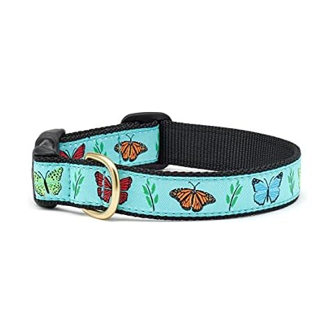 Up Country Butterfly Effect Dog Collar, Large (15 to 21 inches) 1 inch Wide Width Cover