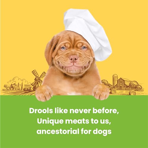 Image of Barkbutler x Dogfest Dog Training Treats, Turkey & Flax Seeds, Superfood Treats for Adult Dogs, Bite-Sized Dog Treat for Puppies, Treats, Aids Digestion & Boosts Immunity