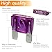 Maxi Blade Fuse kits-10 PCS 32V(12/24V) 100A Automatic Replacement Blade Fuse for Car/RV/Boat/Home et (100A)