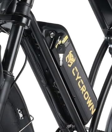 CYCROWNCycRun Electric Bike 36V 10.4Ah Removable Battery