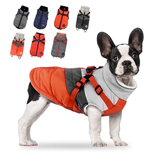 Top 10 Best Dog Coat For Winter Reviews & Buying Guide Katynel