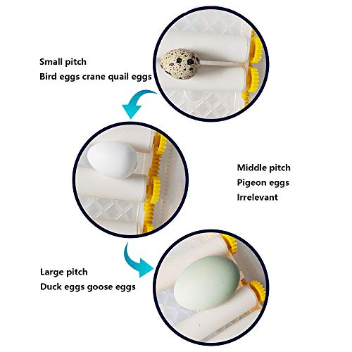 InLoveArts Digitale ei-incubator 16 eieren Automatische Hatcher voor thuisgebruik Temperatuurregeling en automatisch… - Afbeelding 6