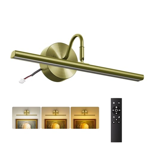 Denlead Picture Lights for Wall Hardwired 16.5
