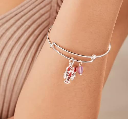 Alex And Ani Expandable Bangle For Women, Lobster Duo Charm, Shiny Silver Finish, 2 To 3.5 In #TOP2