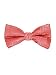 Men's Paisley Pre-Tied Bow Tie - Coral