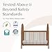 Delta Children Cannon 4-in-1 Convertible Crib - Converts from Baby Crib to Toddler Bed, Daybed and Sofa Bed, Fits Standard Full-Size Crib Mattress, Chestnut