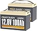 power queen 2 Pack 12.8V 100Ah LiFePO4 Battery, Built-in 100A BMS, Lithium Battery 2560Wh, Up to 15000+ Cycles, Support in Series/Parallel, widely Used for Solar Home System, RV, Off-Grid Life