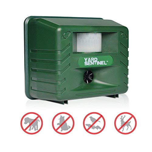 AGN Ultrasonic Repeller, Raccoon, Bird Repeller, Repeller (uk Plug)