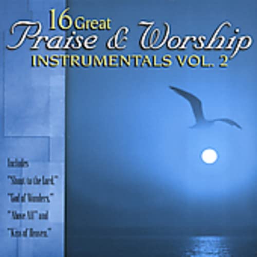 16 Great P & W Instrumental #2 [Audio CD] Various Artists; Mike Haynes; Glen Duncan; Sam Levine; Mark Lee; Mark Barnett; Tommy Walker; Joel Lindsey; Wayne Haun; Steve Hindalong; Lenny LeBlanc; Tai Anderson; Brad Avery; Marc Byrd; Mac Powell; Geron Davis; Graham Kendrick; Paul Baloche; Matt Redman; Darlene Zschech and David Carr