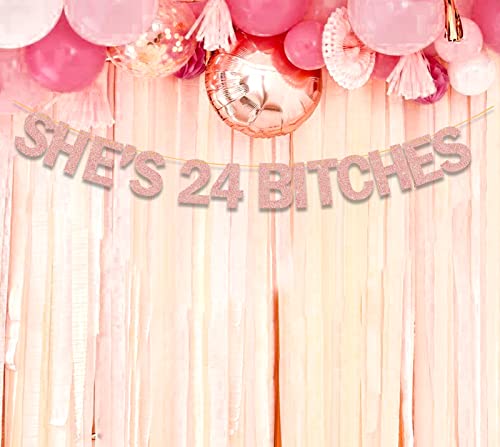 Image of She's 24 Bitches Banner 24th Birthday Decorations for Women, Funny Glitter Rose Gold Birthday Banner, 24th Birthday Banner