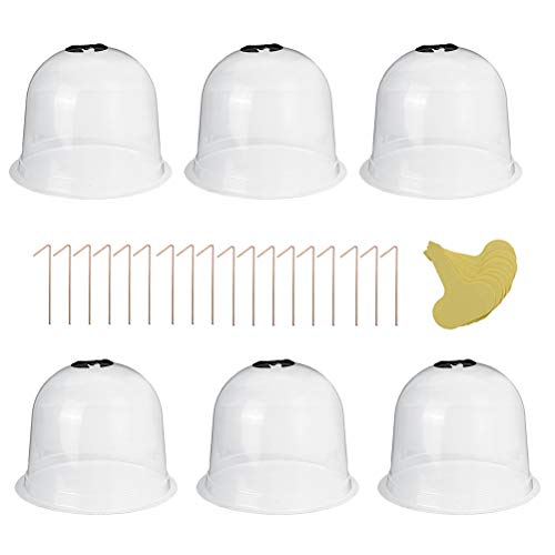 Preisvergleich Produktbild Pflanzglocke Set, Transparent Kunststoff Basics Anzucht Haus, Glockenglöckchen mit Pflanzenetiketten für Erwärmen Gartenboden Und Wachsenden Pflanzen