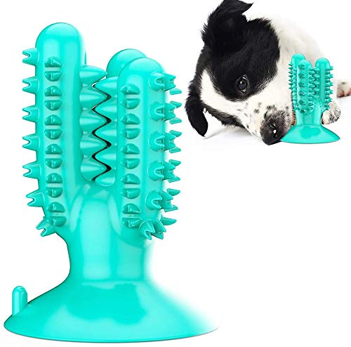 Nettoyer les dents de son chien sans effort avec ce jouet cactus