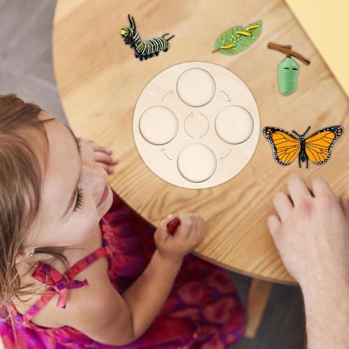 Cycle de vie du papillon puzzle évolutif pour comprendre la nature