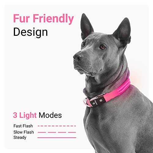 Tractive Gps Pet Tracker With Led Light Up Dog Collar - Waterproof, Gps Location & Smart Activity Tracker, Unlimited Range (Pink, Large) #TOP5
