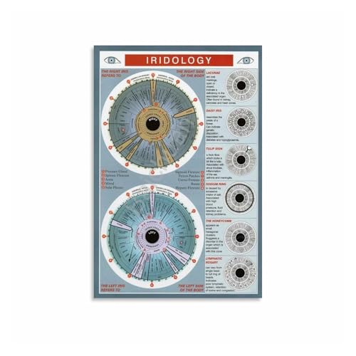 Master Iridology Chart, Comprehensive Iris Analysis Reference on Canvas, for School of Natural Medicine, Library, Office(Framed,