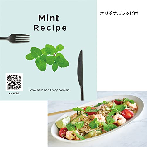 聖新陶芸 栽培セット レシピ付き栽培セット +Recipe ミント GD-95101 水色 5枚目