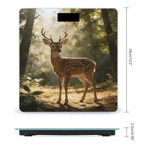 Báscula Digital de Baño RLDOBOFE de Vidrio Templado miniatura 2