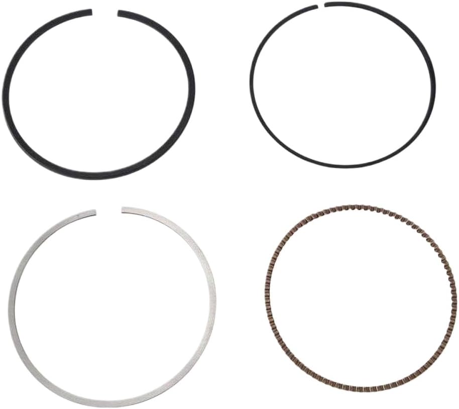 Piston Ring Replacement Set Compatible with N12 N13 N16 N18 116 316 Engines - 11257566479