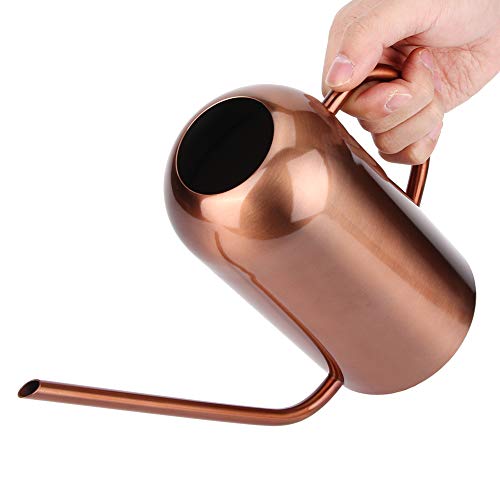 1,5 L Gießkanne, Lange Ausguss Gießkanne Edelstahl Retro Langmundiger Sukkulenten Bewässerungstopf für Gartenblumen Pflanzen Bewässerungswerkzeug