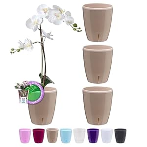 Santino Zestaw 4 Doniczek na Storczyki