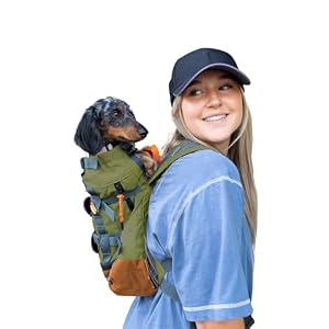 K9 Sport Sack Urban 3 – Small, Leafy – Ideal for Dogs with 13-16” Back Length – Dual-Use, Backpack-Style Carrier + Everyday Pack